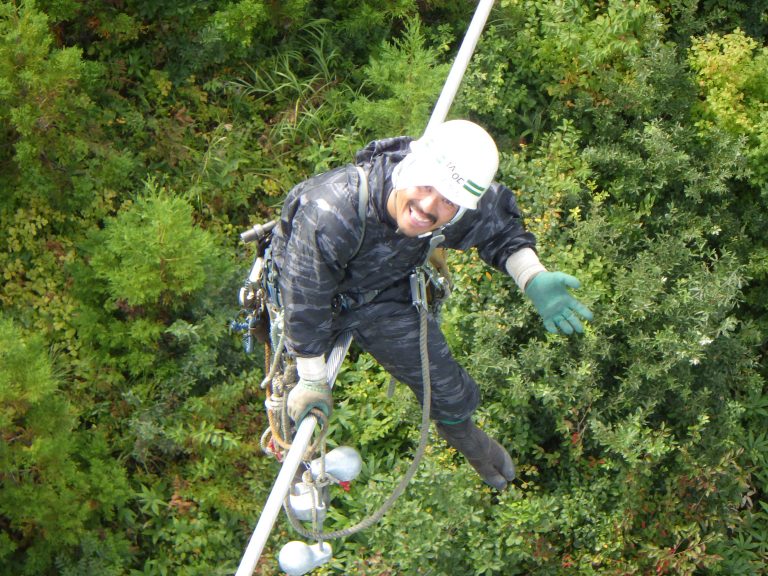 RIMG1195 - コピー